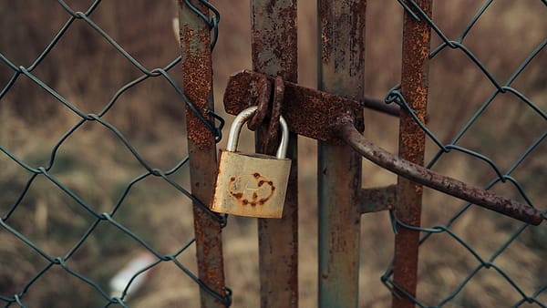 A rusted padlock hanging from the frame of a chain-link gate with dry brown grass blurred behind