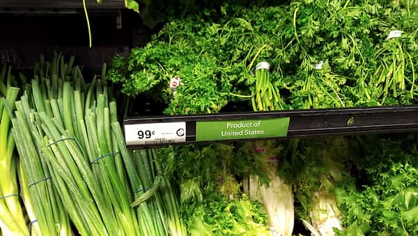 A supermarket produce shelf of green onions and curly parsley behind a rail carrying a 99-cent tag