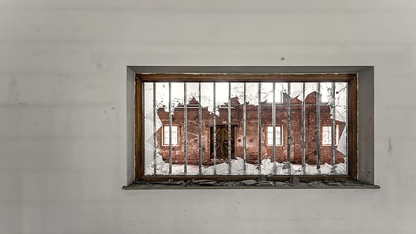 A barred basement window with shattered glass, looking out toward a weathered red brick building