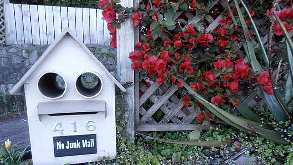 A white wooden letterbox with two round tubes and a numbered front, beside red bougainvillea on a lattice fence