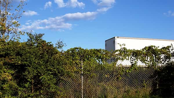 A chain-link fence overgrown with vines and shrubs, a blank white trailer box parked behind it